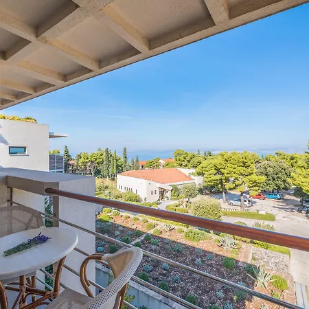 Aminess Vival Velaris スペタル