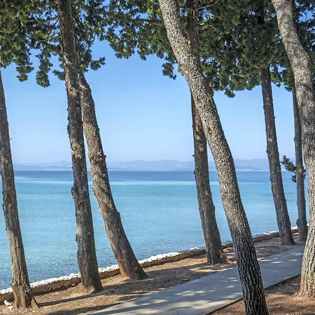 ホテル Aminess Vival Velaris スペタル