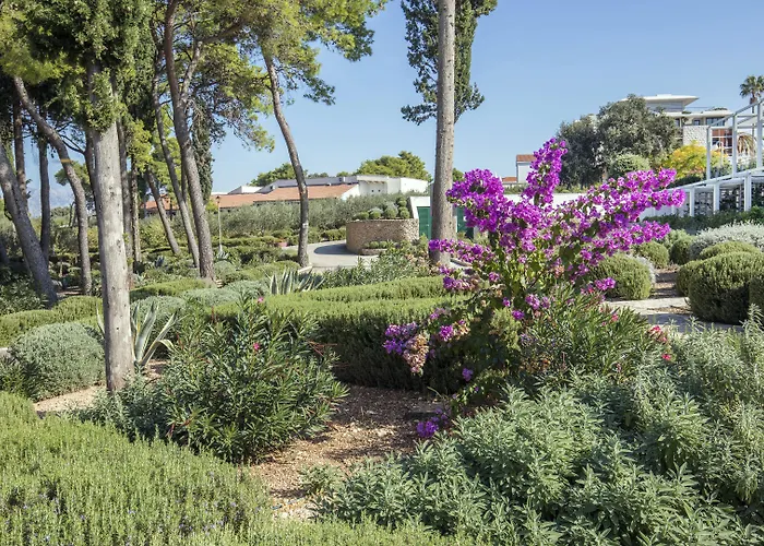 Aminess Vival Velaris Hotel 4*