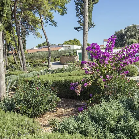 Aminess Vival Velaris Hotel 4*