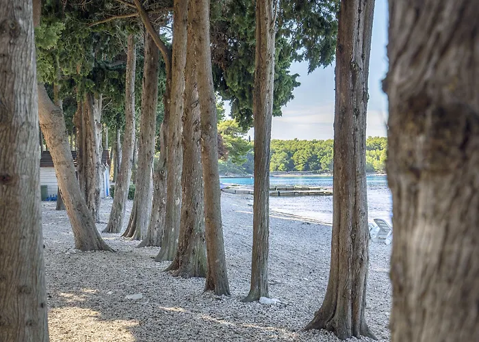 Hotel Aminess Vival Velaris 4*