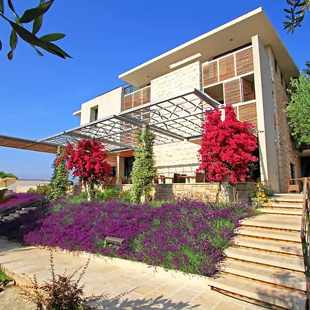 Aminess Vival Velaris 4* Supetar