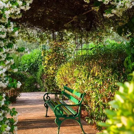 Aminess Vival Velaris