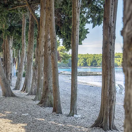 Hotel Aminess Vival Velaris 4*