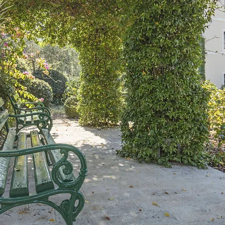 Aminess Vival Velaris 4*