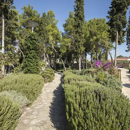 Aminess Vival Velaris