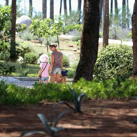 Aminess Vival Velaris 4* Supetar