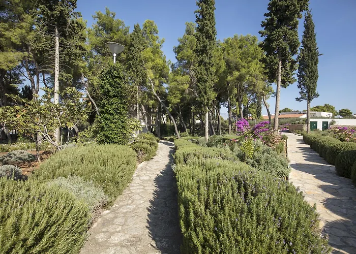 Aminess Vival Velaris